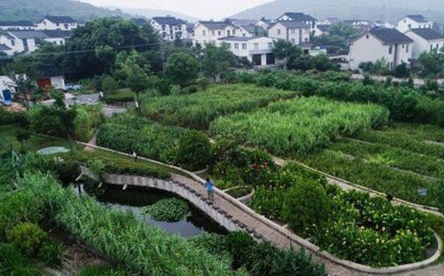 常見污水治理方法有哪些？